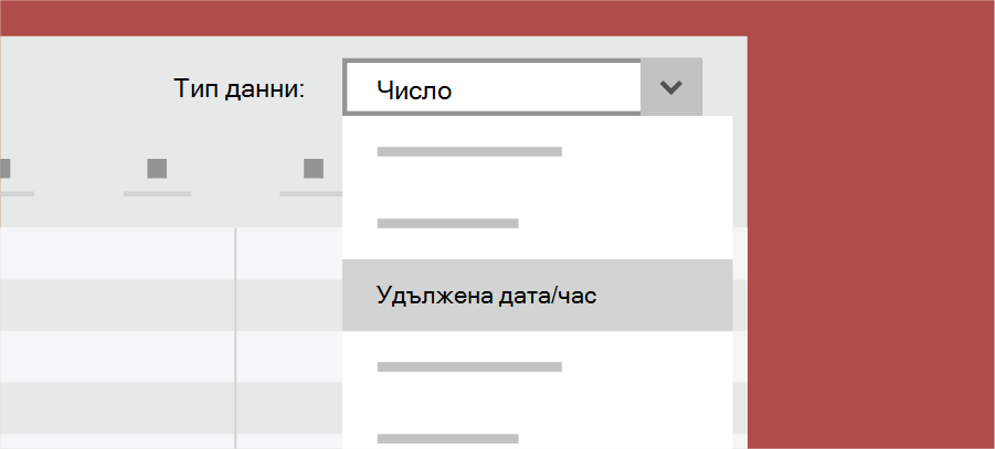 Показва типа данни на Access