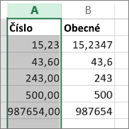 Ukázka zobrazení čísel s různými formáty, jako jsou Číslo a Obecný