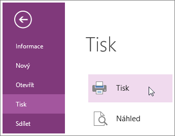 Stránky OneNote můžete tisknout z nabídky Tisk.