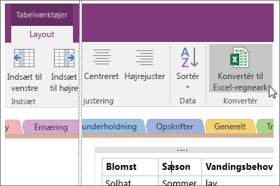 Skærmbillede af knappen Konvertér til Excel-regneark i OneNote 2016.