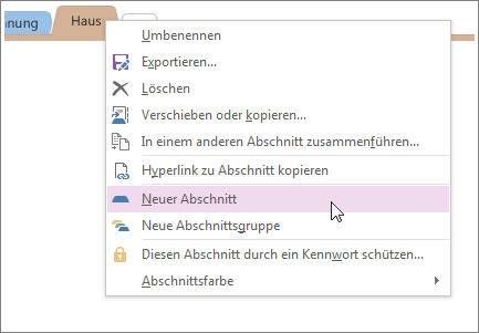 Fügen Sie einen neuen Abschnitt in OneNote ein.