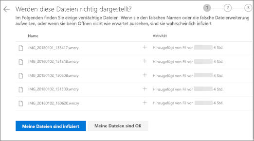 Screenshot des Bildschirms "Diese Dateien richtig aussehen" auf der OneDrive-Website