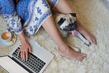 Ein Mops mit seinem Besitzer und einem Laptop