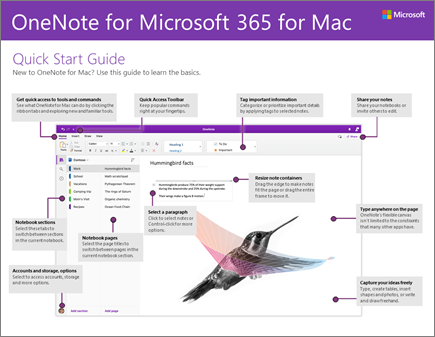 OneNote 2016 für Mac – Schnellstartleitfaden