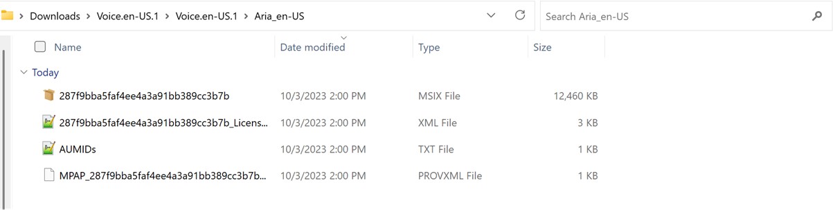 Screenshot of Voice package extracted folder.