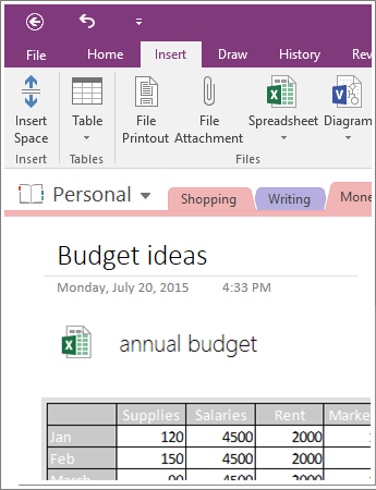 Screenshot of an embedded spreadsheet in OneNote 2016.