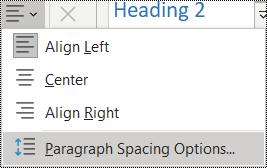 Screenshot of the Paragraph Spacing Option in the Home menu.