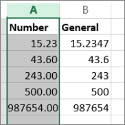 sample of how numbers appear with different formats like Number and General formats.