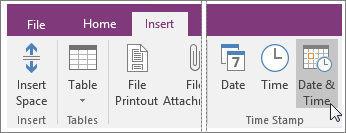 Screenshot of the Date and Time button in OneNote 2016.