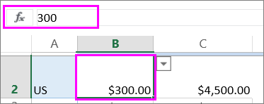 View of a number value in the function bar