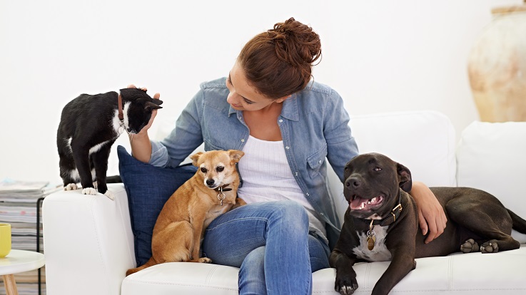 photo of a woman on a sofa with dogs and cats