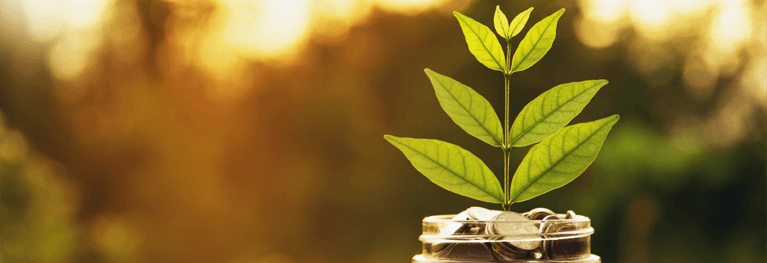 Small plant in a jar of coins on a table