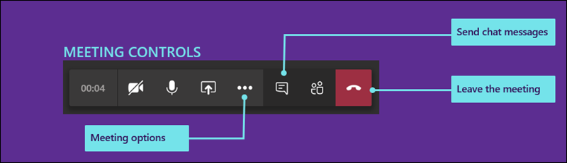 Use the meetings controls to manage settings and chat.