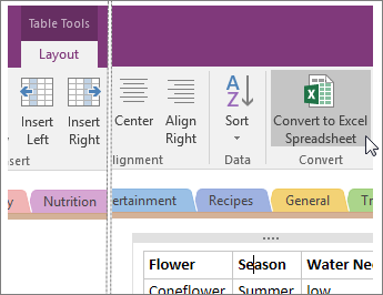 Screenshot of the Convert to Excel Spreadsheet button in OneNote 2016.