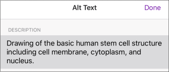 Cuadro de diálogo Texto alternativo para imágenes en OneNote para iOS.