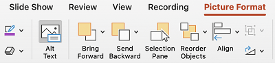El botón Texto alternativo en la cinta de Opciones de PowerPoint para Mac.
