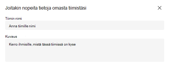 yksityinen tiimi