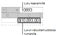 Kaavarivi ja siihen liittyvä solu