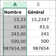 exemple d’affichage de nombres avec différents formats, tels que Nombre et Général.