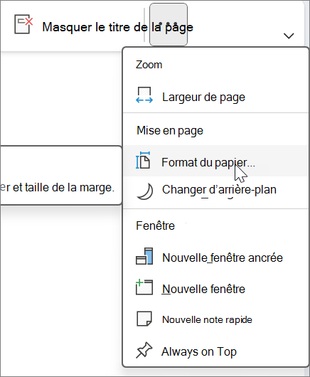Le format du papier se trouve sous l’onglet Affichage