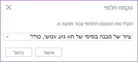 תיבת דו-שיח של טקסט חלופי עבור OneNote באינטרנט