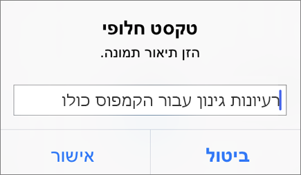 תפריט 'טקסט חלופי עבור תמונה' ב- Outlook עבור iOS