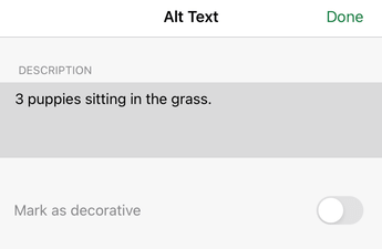 תיבת הדו-שיח 'טקסט חלופי' ב- Excel עבור iOS.