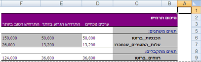 דוח סיכום תרחיש של Excel