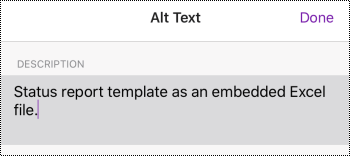 תיבת הדו-שיח 'טקסט חלופי' עבור קובץ מוטבע ב- OneNote עבור iOS.