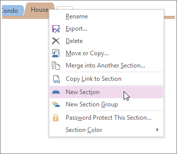 Dodajte novu sekciju u programu OneNote.