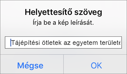 Az iOS Outlookban a képek helyettesítő szövegének hozzáadásakor megjelenő menü