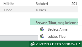 Több szerző az Excel Online-ban