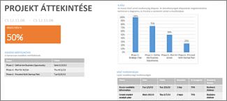 Projektek áttekintése jelentés