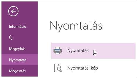 Nyomtathat OneNote-lapokat a Nyomtatás menüből