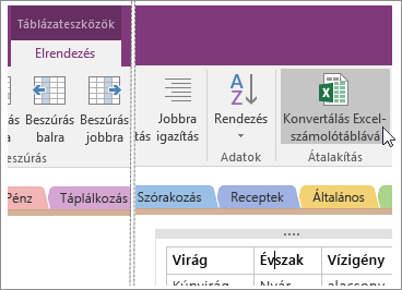 Képernyőkép a OneNote 2016 Konvertálás Excel-számolótáblává gombjáról