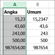 contoh bagaimana angka diperlihatkan dengan format berbeda seperti format Angka dan Umum.