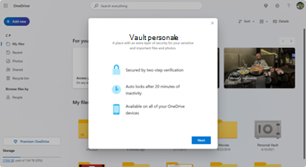 Caratteristiche di configurazione del Vault personale.