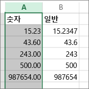 숫자 및 일반 서식 등 적용하는 서식별로 숫자가 나타나는 방식을 보여주는 예제