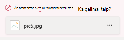 Pranešimas su vaizdo priedu buvo užblokuotas dėl netinkamo turinio. Pranešimas paryškintas raudonai ir jame rašoma: "Šį pranešimą užblokavo organizacijos strategija"