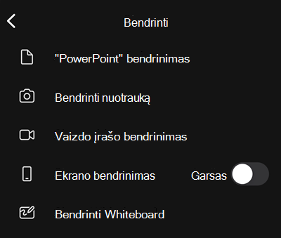 Bendrinimo parinktys, įskaitant "PowerPoint", nuotraukų, vaizdo įrašų arba ekrano bendrinimą.