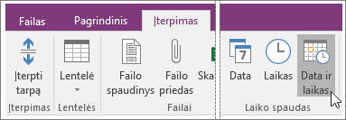 Mygtuko Data ir laikas programoje „OneNote 2016“ ekrano kopija.