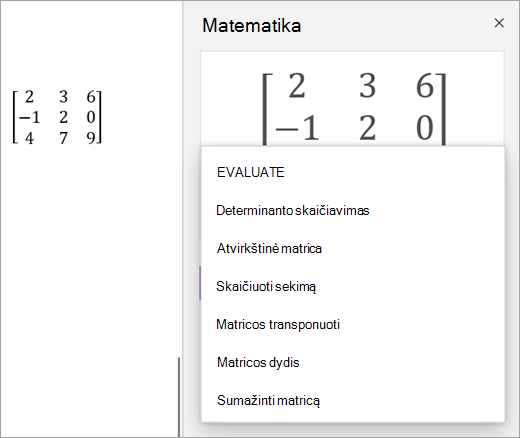 Matricų sprendimo parinktys