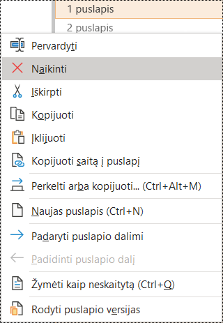 Puslapio naikinimas programos „OneNote“, skirtos „Windows“, dialogo lange