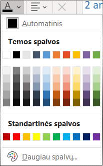 Šrifto spalvų parinkties pagrindiniame meniu ekrano nuotrauka.