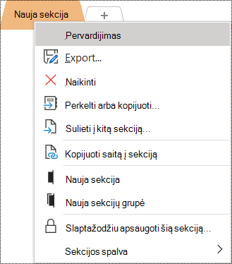 Kontekstinio meniu, kuriame pažymėta parinktis Pervardyti, ekrano nuotrauka.