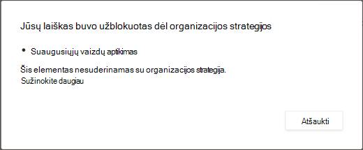 Dialogo lange paaiškinama, kodėl pranešimas buvo panaikintas dėl suaugusiesiems skirto turinio.