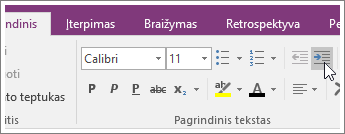 „OneNote 2016“ mygtuko Didinti įtrauką ekrano kopija.