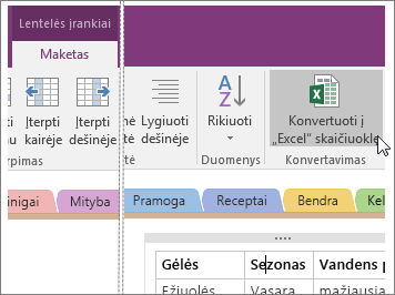 „OneNote 2016“ mygtuko Konvertuoti į „Excel“ skaičiuoklę ekrano kopija.