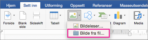 Bilde fra fil er markert på Sett inn-fanen.
