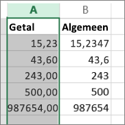voorbeeld van hoe getallen worden weergegeven in verschillende notaties, zoals Getal en Algemeen.